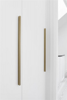 ELAN \NEW\ 544 mm Brushed brass, Garie mēbeļu rokturi